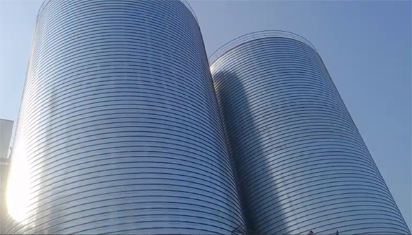 遂平2座混凝土高架卷板仓